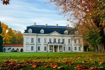Pałac w Radziejowicach