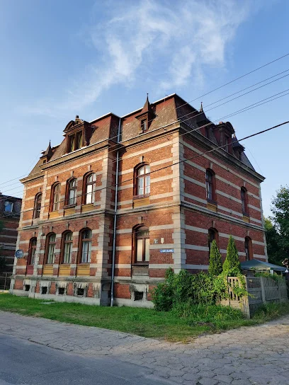 Wille dyrektorskie